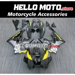 Honda CBR 919 RR 1998-1999 Fairing P/N 1AE1