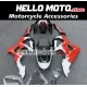 Honda CBR 929RR 2000-2001 Fairing P/N 1AF1 Honda CBR 929RR 2000-2001 Fairing P/N 1AF1