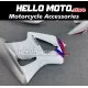 Honda CBR 929RR 2000-2001 Fairing P/N 1AF7
