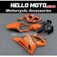 Honda CBR 954RR 2002-2003 Fairing P/N 1AG4