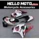 Honda CBR 954RR 2002-2003 Fairing P/N 1AG10