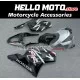 Honda CBR 954RR 2002-2003 Fairing P/N 1AG9