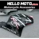 Honda CBR 954RR 2002-2003 Fairing P/N 1AG9