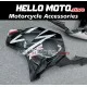 Honda CBR 954RR 2002-2003 Fairing P/N 1AG9