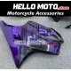 Honda CBR 600 F4 1999-2000 Fairing P/N 1Y4 Honda CBR 600 F4 1999-2000 Fairing P/N 1Y4