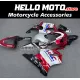 Honda CBR 600 F4I 2001-2003 Fairing P/N 1AX12 Honda CBR 600 F4I 2001-2003 Fairing P/N 1AX12