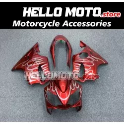 Honda CBR 600 F4I 2004-2007 Fairing P/N 1AA6