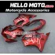 Honda CBR 600 F4I 2004-2007 Fairing P/N 1AA6