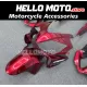 Honda CBR 600 F4I 2004-2007 Fairing P/N 1AA12 Honda CBR 600 F4I 2004-2007 Fairing P/N 1AA12