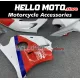 Honda CBR 250RR MC22 1990-1999 Fairing P/N 1AW6 Honda CBR 250RR MC22 1990-1999 Fairing P/N 1AW6