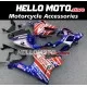 Honda VTR1000 RC51 2000-2006 Fairing P/N 1AN3