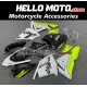 Kawasaki ZX-10R 2004-2005 Fairing P/N 4AX8