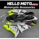 Kawasaki ZX-10R 2004-2005 Fairing P/N 4AX8