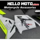 Kawasaki ZX-10R 2004-2005 Fairing P/N 4AX8