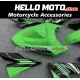 Kawasaki ZX-10R 2004-2005 Fairing P/N 4AX9
