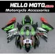 Kawasaki ZX-10R 2004-2005 Fairing P/N 4AX1