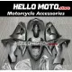 Kawasaki ZX-10R 2006-2007 Fairing P/N 4BF4