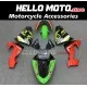 Kawasaki ZX-10R 2006-2007 Fairing P/N 4BF2