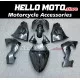 Kawasaki ZX-10R 2006-2007 Fairing P/N 4BF13 Kawasaki ZX-10R 2006-2007 Fairing P/N 4BF13