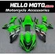 Kawasaki ZX-10R 2006-2007 Fairing P/N 4BF10