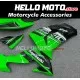Kawasaki ZX-10R 2006-2007 Fairing P/N 4BF10