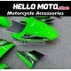 Kawasaki ZX-10R 2006-2007 Fairing P/N 4BF10