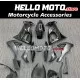 Kawasaki ZX-10R 2008-2010 Fairing P/N 4K4