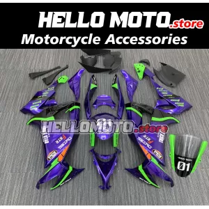 Kawasaki ZX-10R 2008-2010 Fairing P/N 4K5