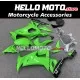 Kawasaki ZX-10R 2008-2010 Fairing P/N 4K6