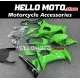 Kawasaki ZX-10R 2008-2010 Fairing P/N 4K6