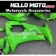 Kawasaki ZX-10R 2008-2010 Fairing P/N 4K6