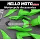 Kawasaki ZX-10R 2008-2010 Fairing P/N 4K6