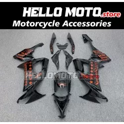 Kawasaki ZX-10R 2008-2010 Fairing P/N 4K9