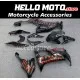 Kawasaki ZX-10R 2008-2010 Fairing P/N 4K9