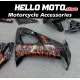 Kawasaki ZX-10R 2008-2010 Fairing P/N 4K9