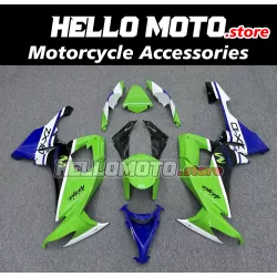 Kawasaki ZX-10R 2008-2010 Fairing P/N 4K12