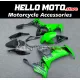 Kawasaki ZX-10R 2008-2010 Fairing P/N 4K13