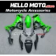 Kawasaki ZX-10R 2008-2010 Fairing P/N 4K13