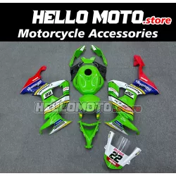 Kawasaki ZX-10R 2008-2010 Fairing P/N 4K14