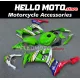 Kawasaki ZX-10R 2008-2010 Fairing P/N 4K14