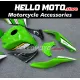 Kawasaki ZX-10R 2008-2010 Fairing P/N 4K14