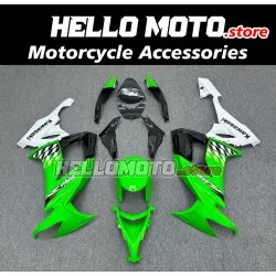 Kawasaki ZX-10R 2008-2010 Fairing P/N 4K8