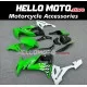 Kawasaki ZX-10R 2008-2010 Fairing P/N 4K8