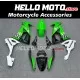 Kawasaki ZX-10R 2008-2010 Fairing P/N 4K8