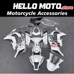 Kawasaki ZX-10R 2011-2015 Fairing P/N 4L4