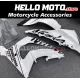 Kawasaki ZX-10R 2011-2015 Fairing P/N 4L4