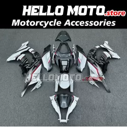 Kawasaki ZX-10R 2011-2015 Fairing P/N 4L5