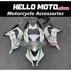 Kawasaki ZX-10R 2016-2020 Fairing P/N 4M4