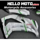 Kawasaki ZX-10R 2016-2020 Fairing P/N 4M4