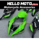 Kawasaki ZX-10R 2016-2020 Fairing P/N 4M1 Kawasaki ZX-10R 2016-2020 Fairing P/N 4M1